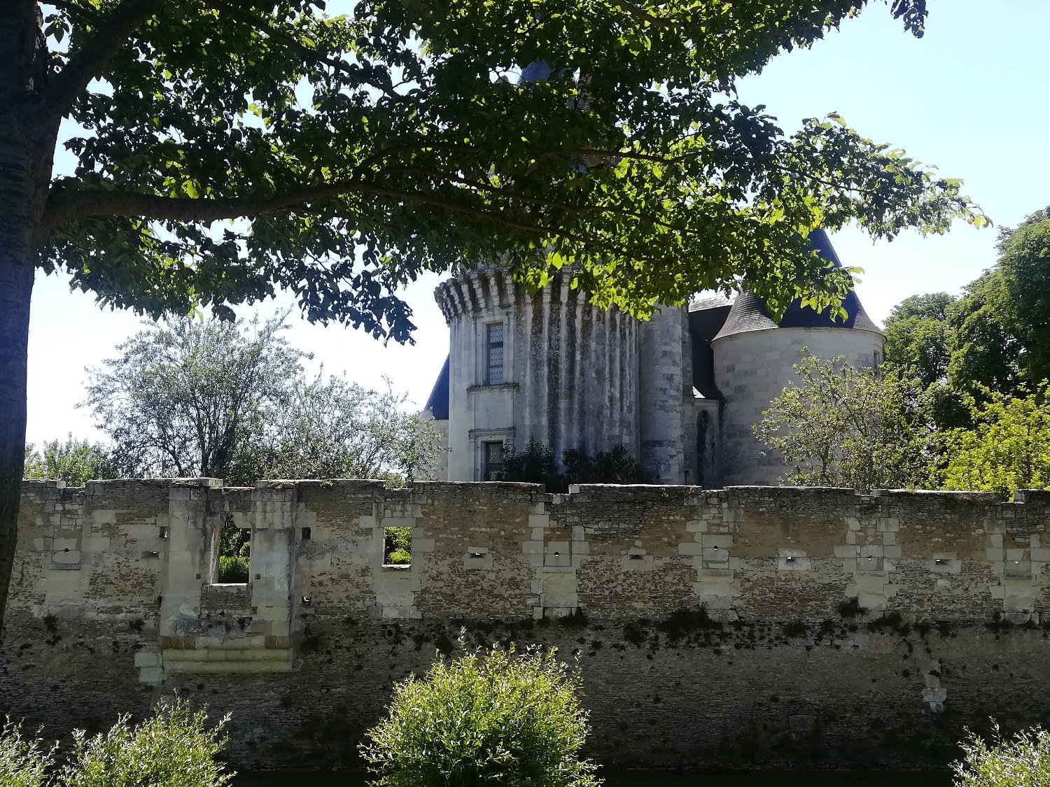 Le Château de Coussay 2