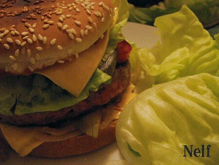 nelf_burger01