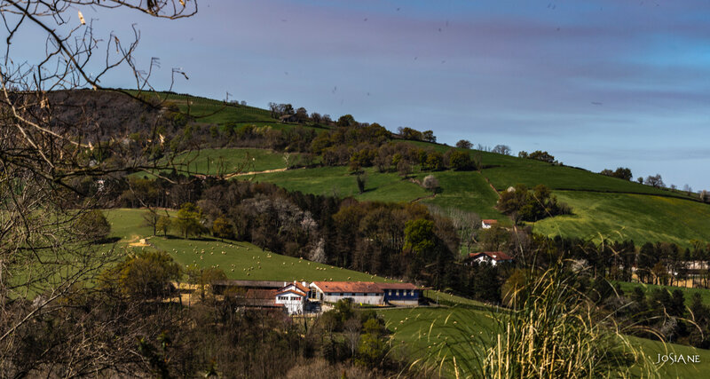22032019-_MG_5070