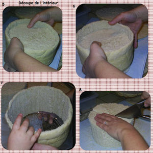 miche_surprise_3