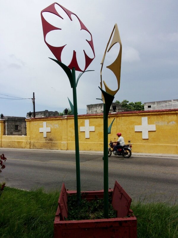 25 et vedado (5)