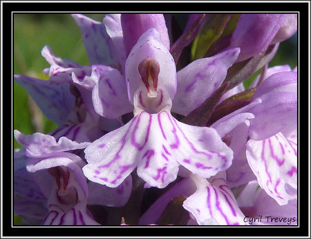 P1410602