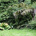 Le parc emmanuel liais à cherbourg le 29 juillet 2016 (4)