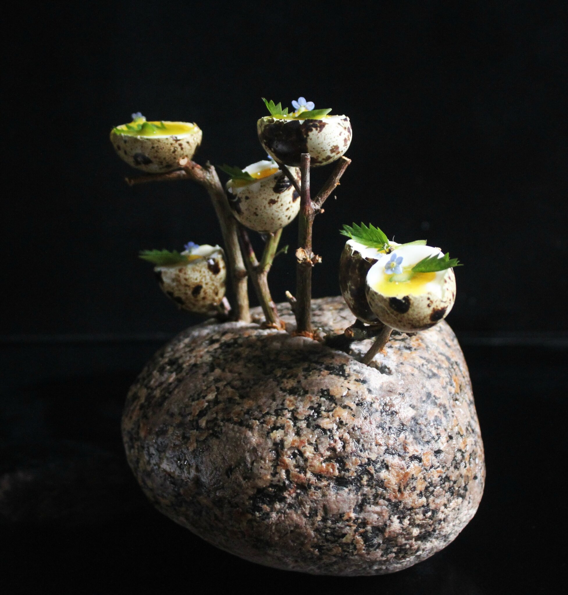 Œufs de cailles mollet, Huile de pimprenelle et asperge verte