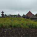 P1050489bis