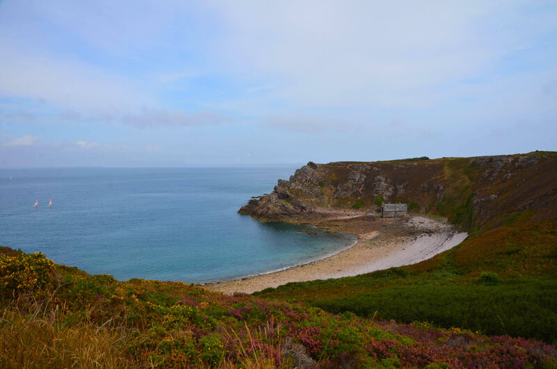 DSC_3132;