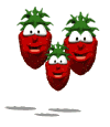 fraises_gifs4