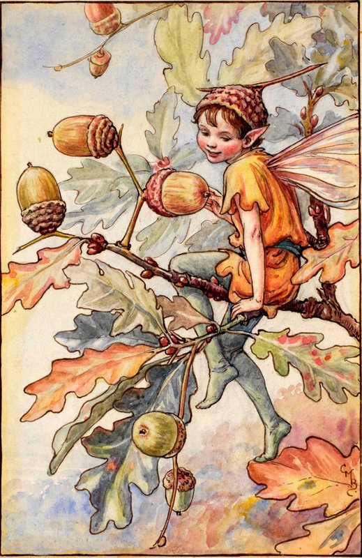 acorn fairy