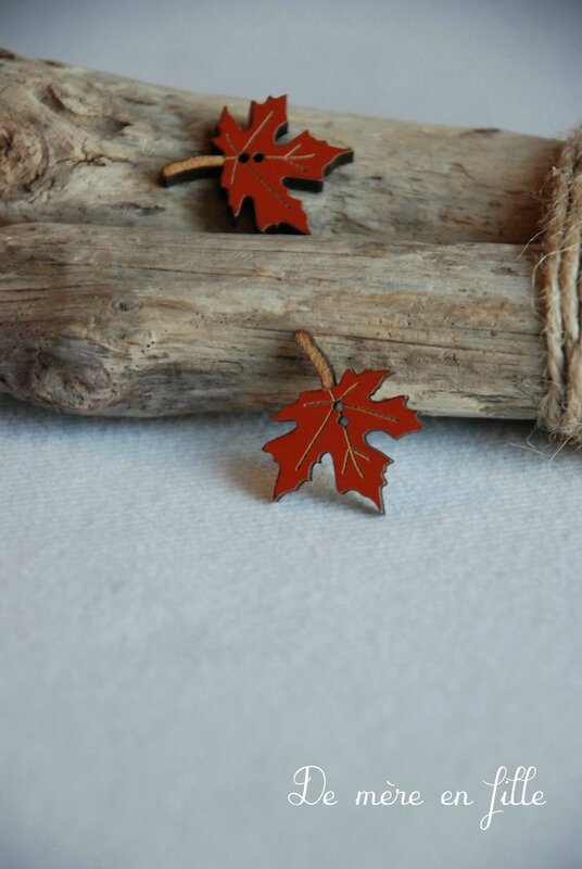 feuille d'érable marron