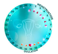 Conception: Peut-on tomber enceinte pendant ses règles ?