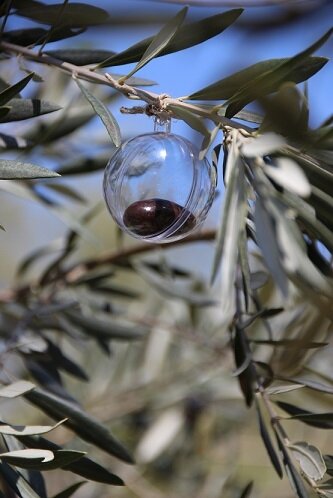 olives_bulles