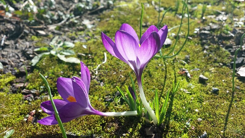 20140224_134558