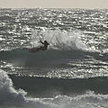 PIER__KITE___RELANCE__HORTENSE_
