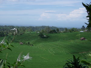 DSCF2261