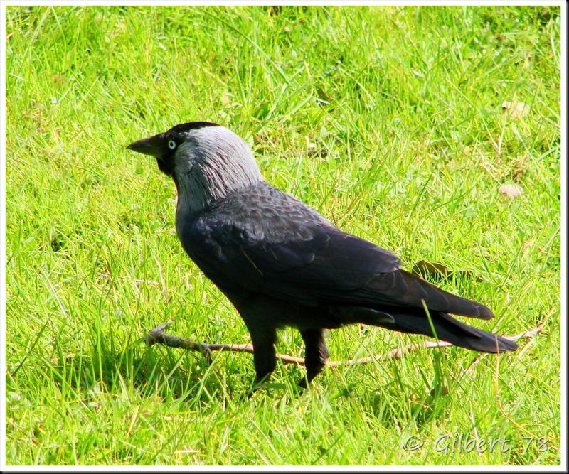 Lété Est La Période Des Bains De Soleil Une Activité