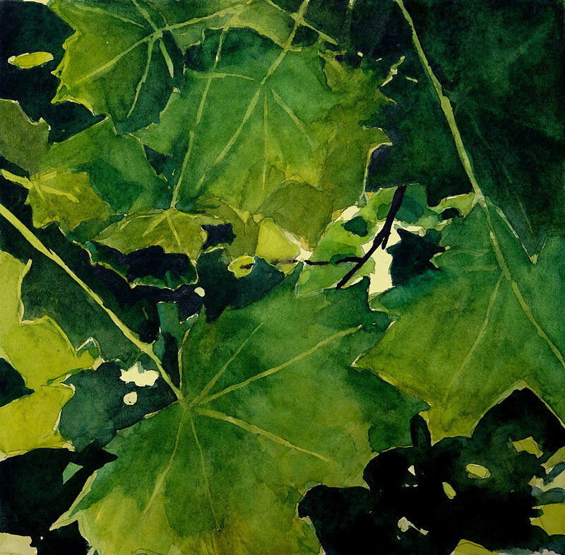 sous un arbre de juin un jour de juin 2018, aquarelle