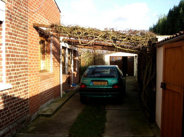 Vue depuis le portail sur l'allée : la pergola et la clématite - Photo