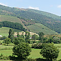 P1110113