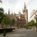Séville, la cathédrale et la Giralda