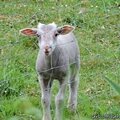 Randonnée d'orbessan à traversères : aller sous la pluie, retour au soleil !
