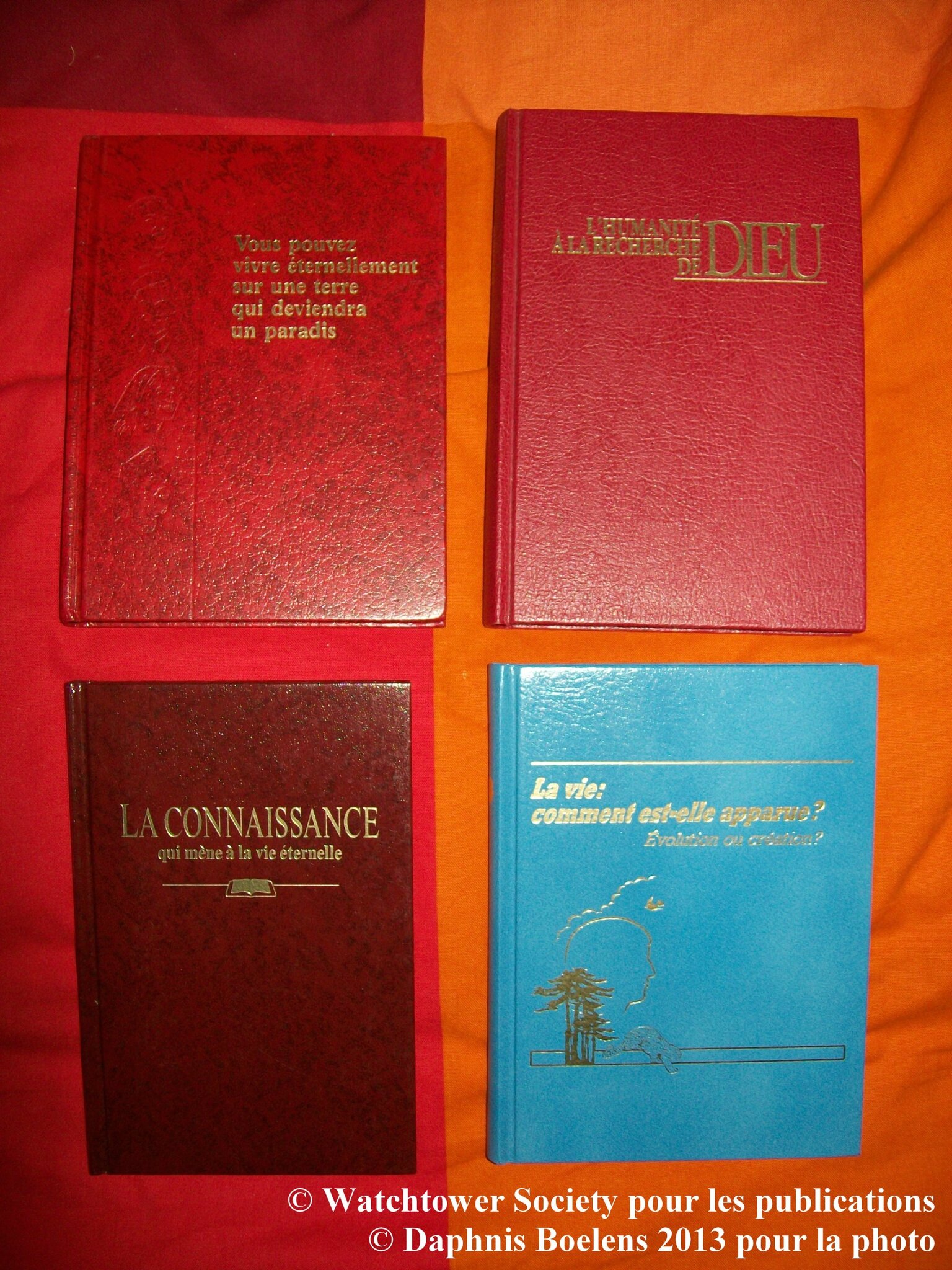 étude perspicace des écritures