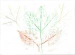 Empreintes de feuilles au pastel