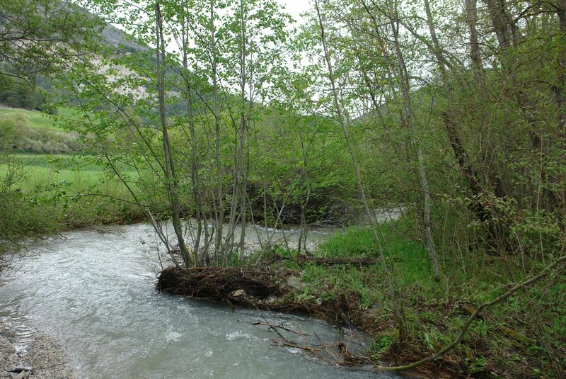 DSC00984