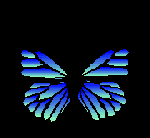 papillon-gif-041
