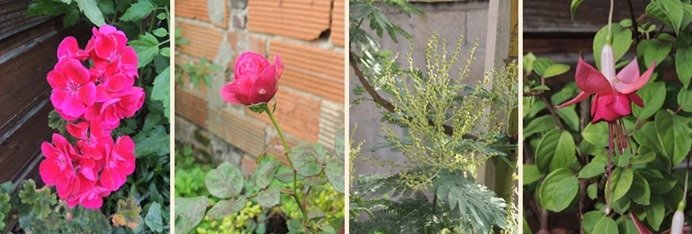 jardin 1