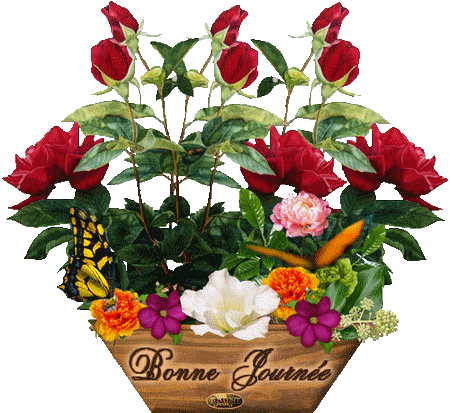 Joyeux Anniversaire Danae Tous Les Messages Sur Joyeux Anniversaire Danae Le Blog De Colette Villeparisis J Aime Les Gifs