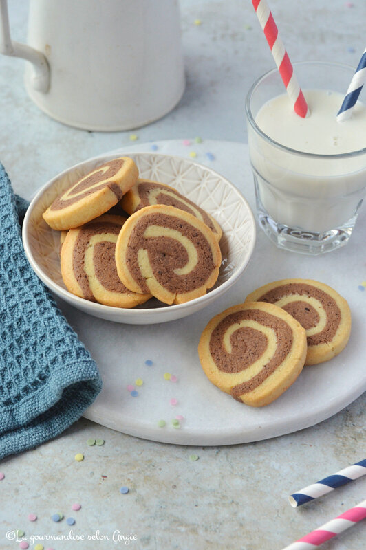 biscuit bicolore chocolat vanille spirale thermomix (1)