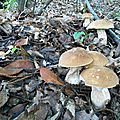DSCN2189