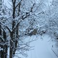 IMG_3098
