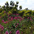 DSC01305