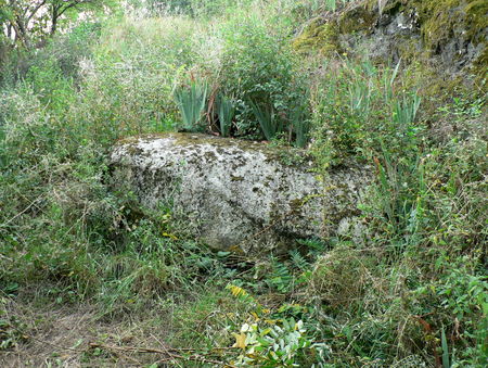 P1170009_1