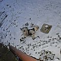 _DSC0051