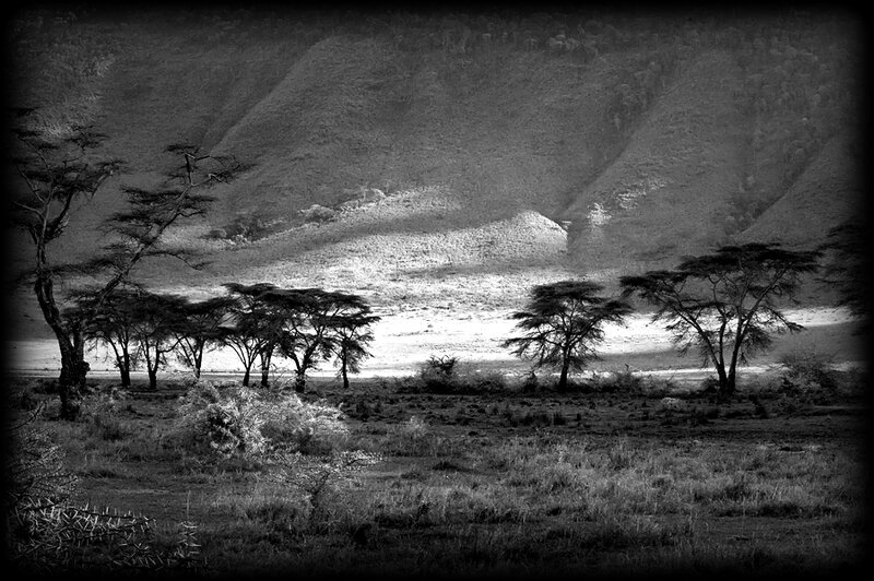 ngorongoro-noir-blanc