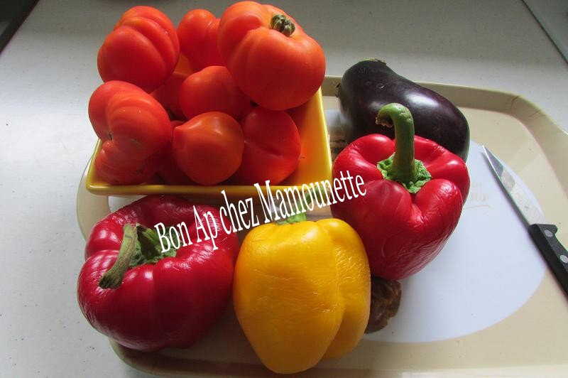 Coulis de légumes aux tomates et herbes aromatiques du jardin 001