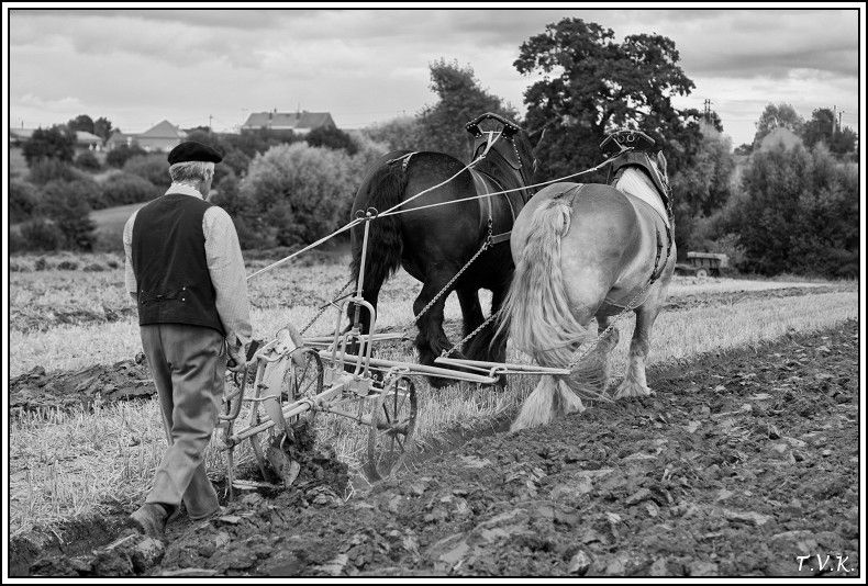 Résultat de recherche d'images pour "PPS AUTREFOIS"