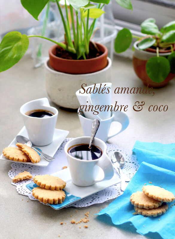 Sablés Blog + texte