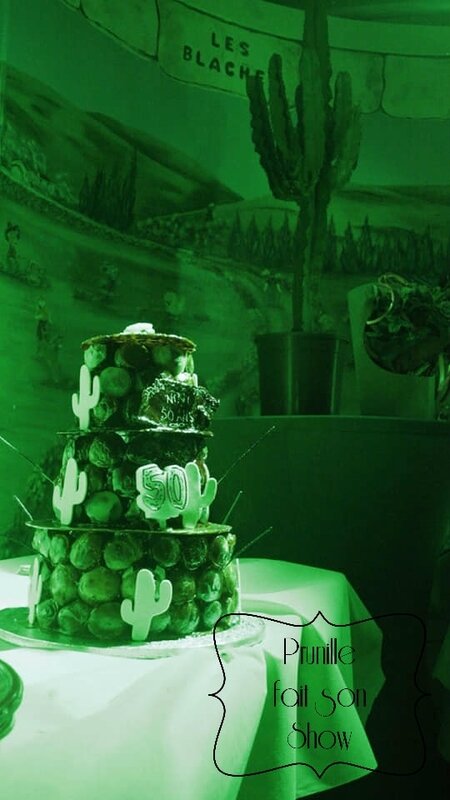 cactus piece montee prunillefee