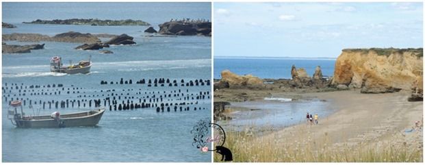 5 pointe du gros bile