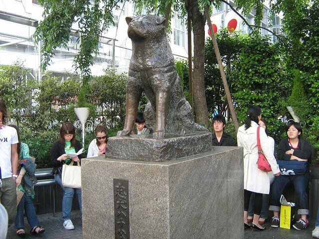 Satue Hachiko