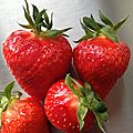 Fruits de saison