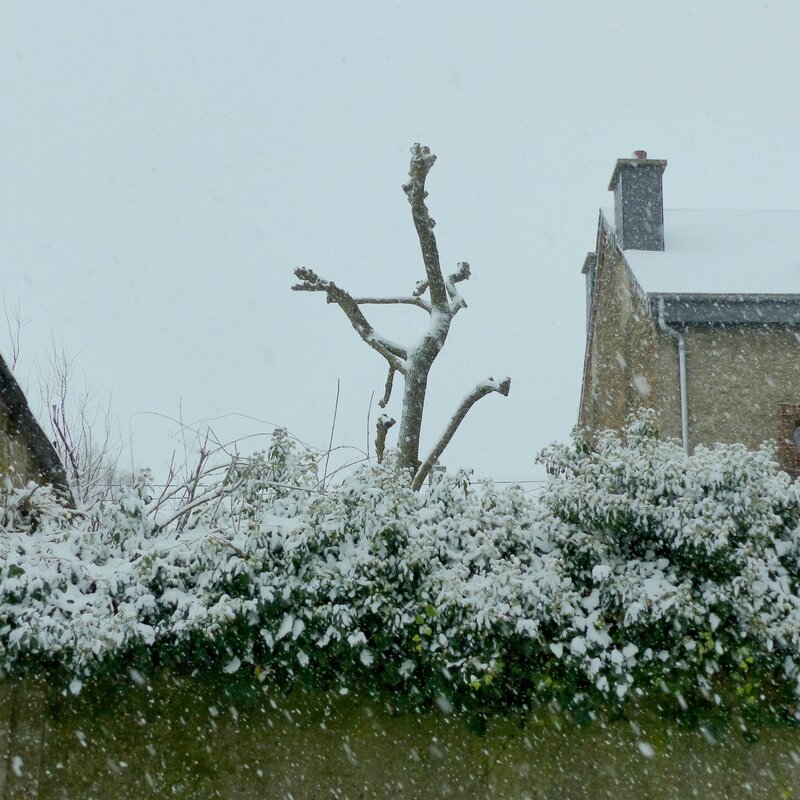 10 decembre 2017 ce matin 10h30 (2)