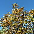 P1080150