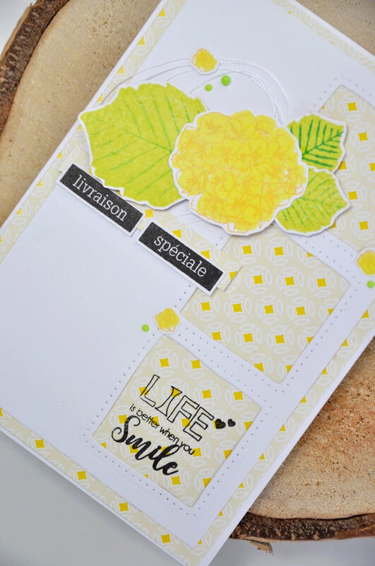 carte fannyseb 3 carte secrète février 2021 FORUM LITTLE SCRAP