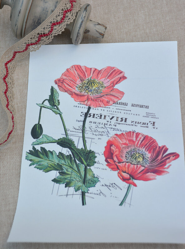 carte postale coquelicots