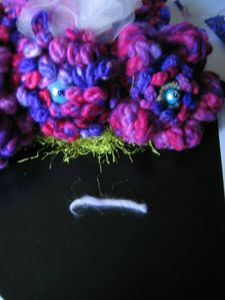 plastron9