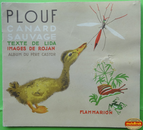 PLOUF Canard sauvage (2)